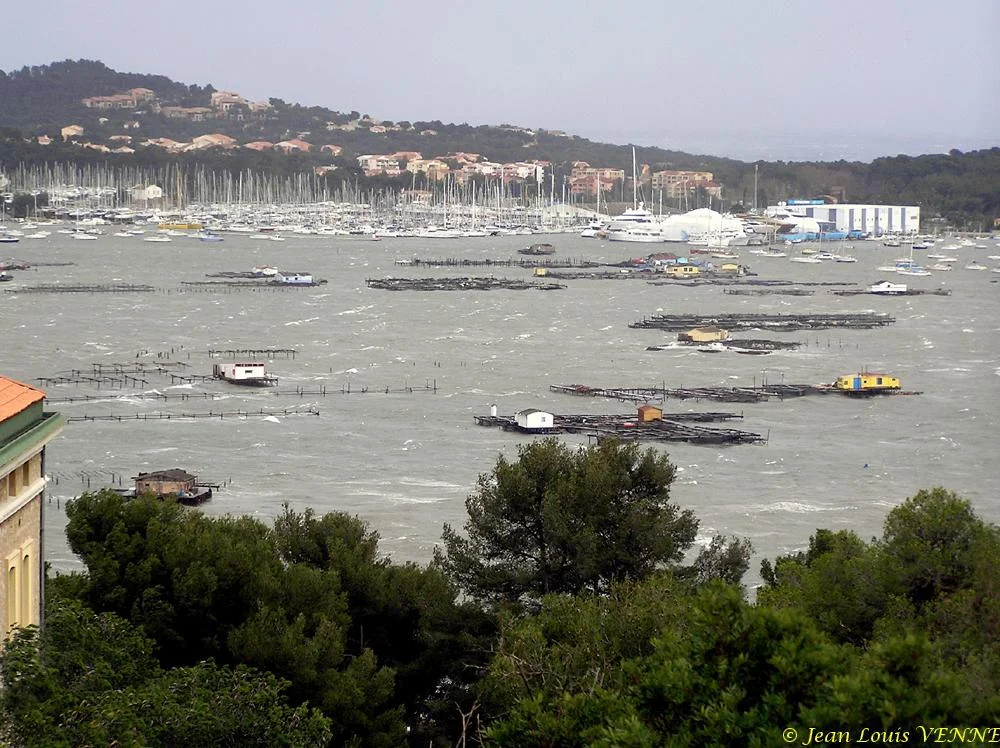La tempête n’épargne pas le Var