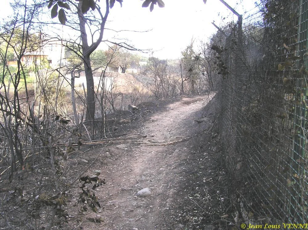 Les dégâts provoqués par l'incendie au CIN St Mandrier