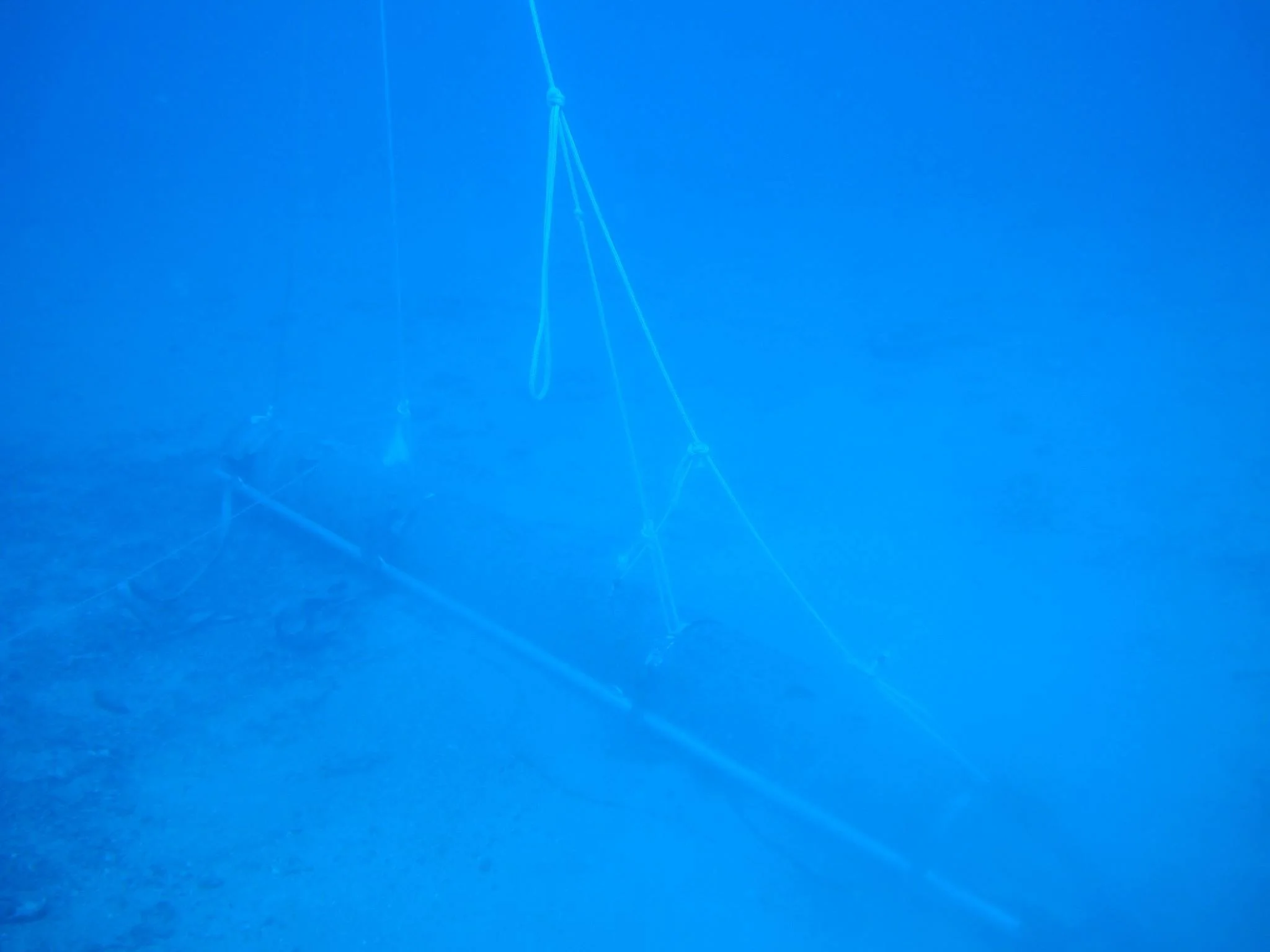 Torpille de combat anglaise Mk 8