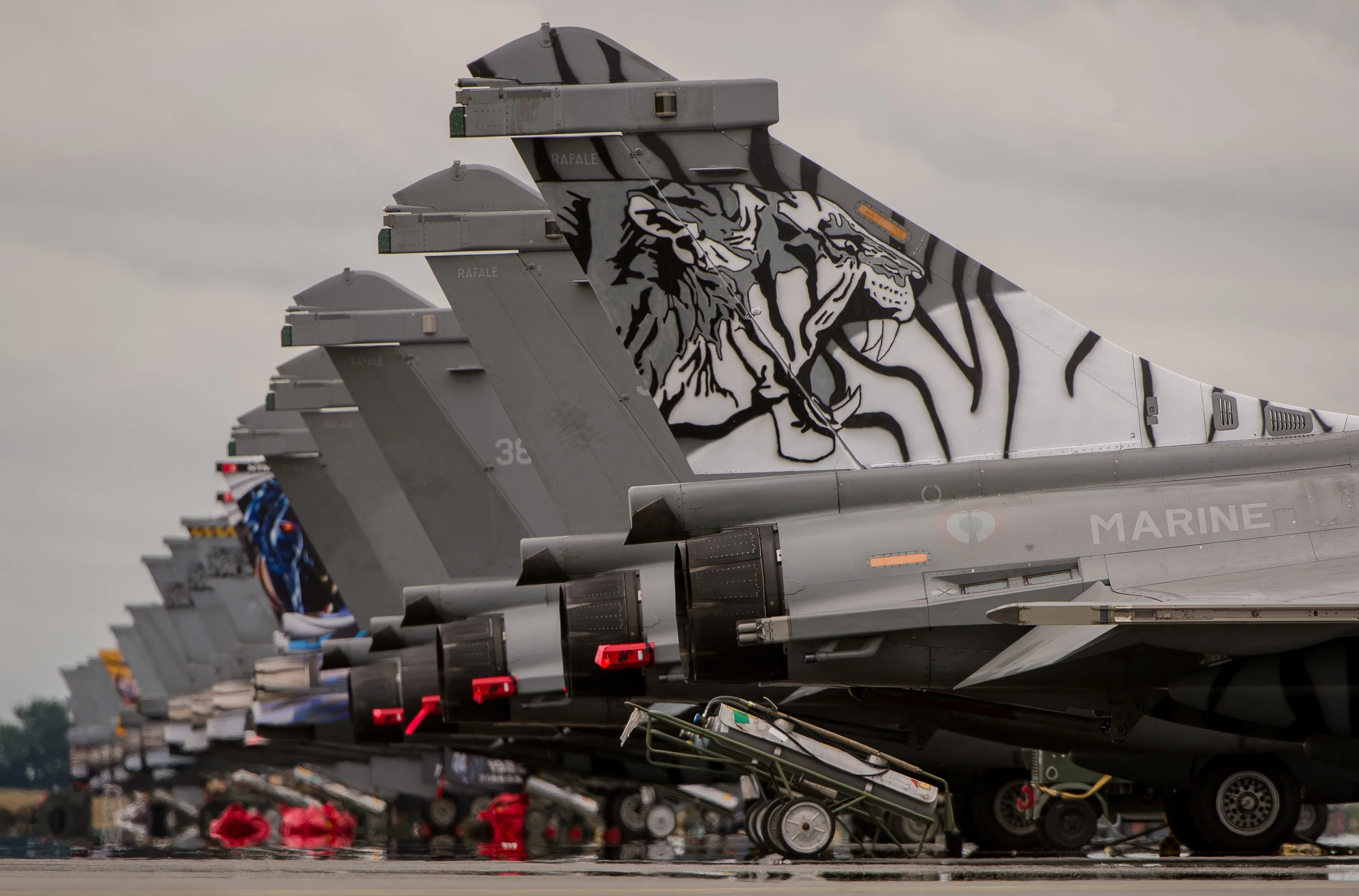 Alignement d'avions de chasse participant au NATO Tiger Meet 2014