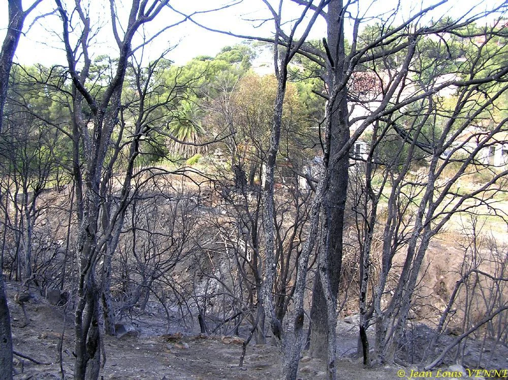 Les dégâts provoqués par l'incendie au CIN St Mandrier