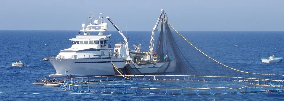 Contrôle d'un senneur