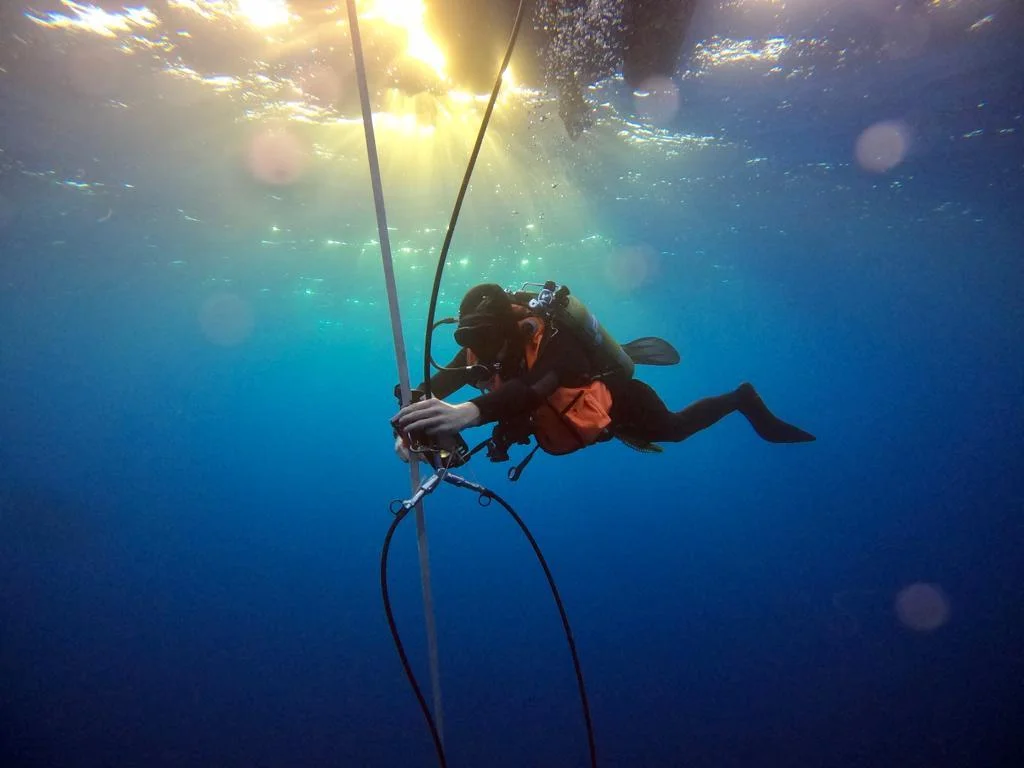 Un plongeur-démineur