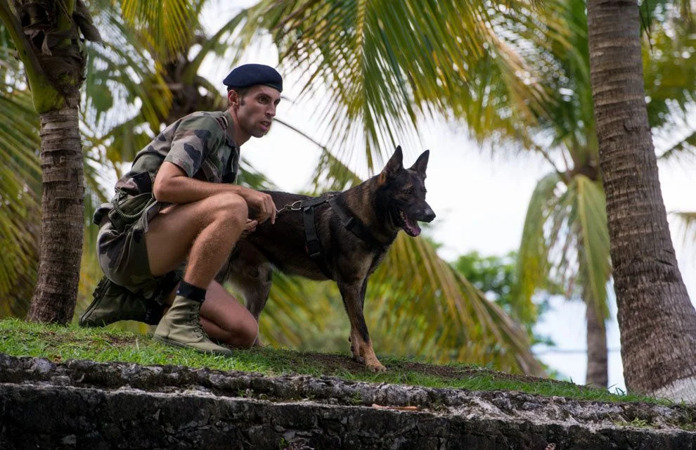 Un fusilier marin maître-chien aux Antilles