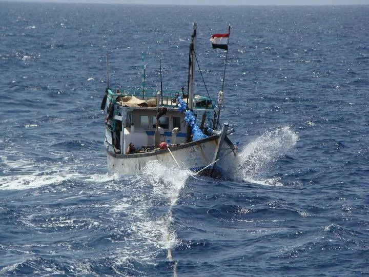 Le dhow Mahara à la remorque du Guépratte