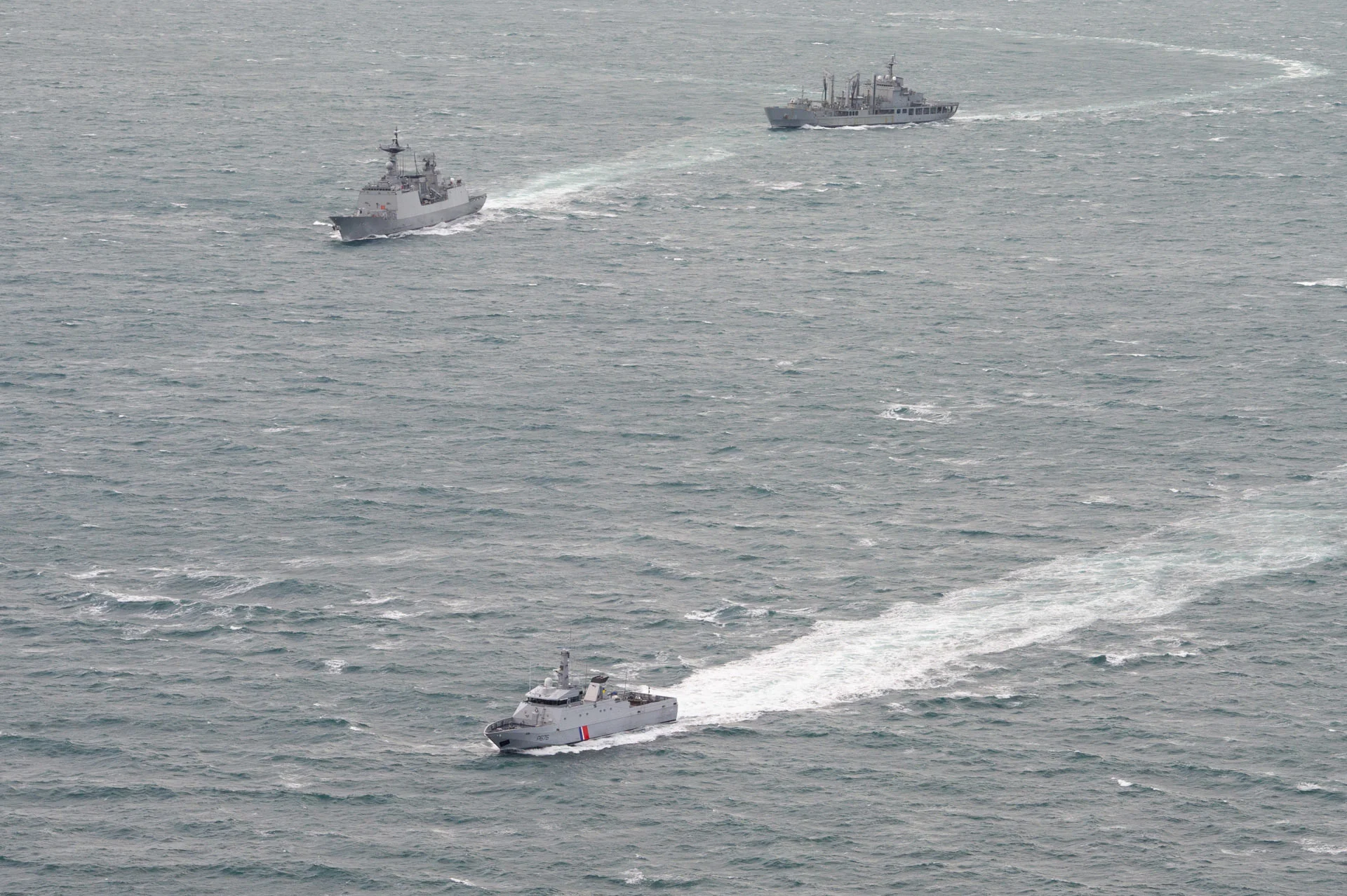 Le patrouilleur Flamant et le groupe-école de la marine sud-coréenne