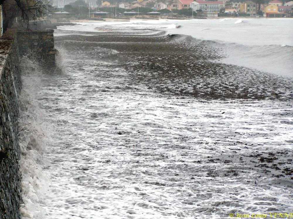 Des posidonies mortes envahissent la Seyne-sur-Mer