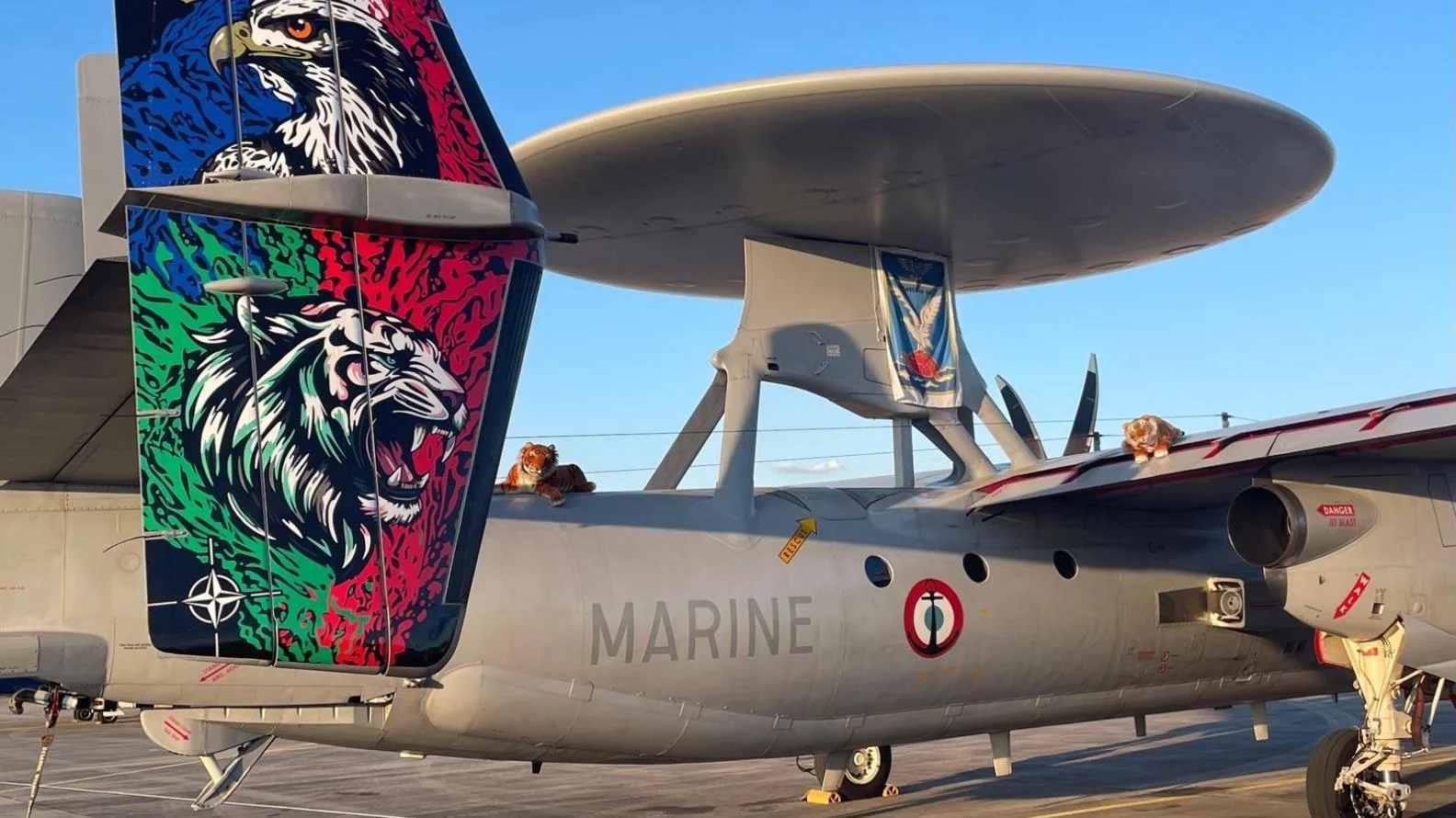 Pour le NATO Tiger Meet 2025, le Hawkeye a fièrement revêtu une livrée spéciale aux couleurs du tigre