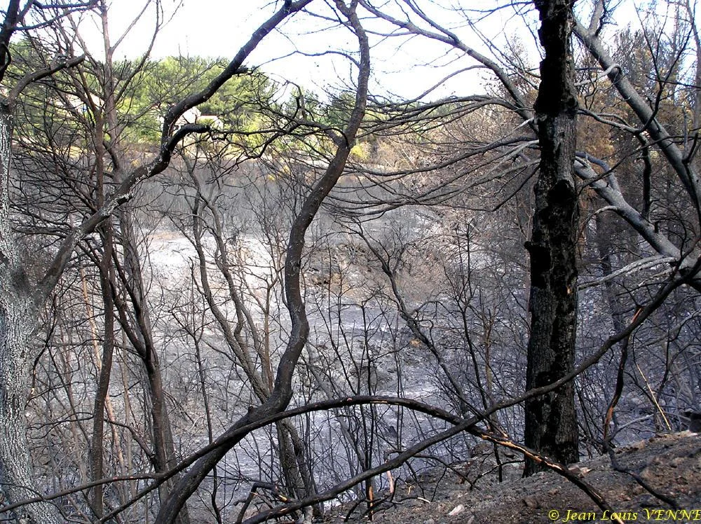 Les dégâts provoqués par l'incendie au CIN St Mandrier