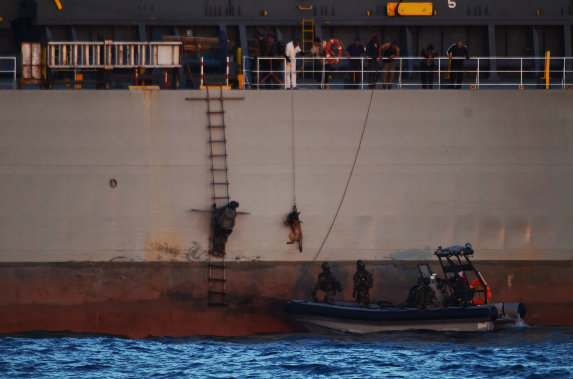 L'équipe de visite et le chien montent à bord d'un navire