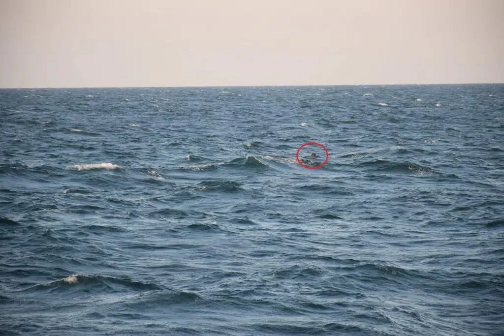 Une mine flottante en mer Noire