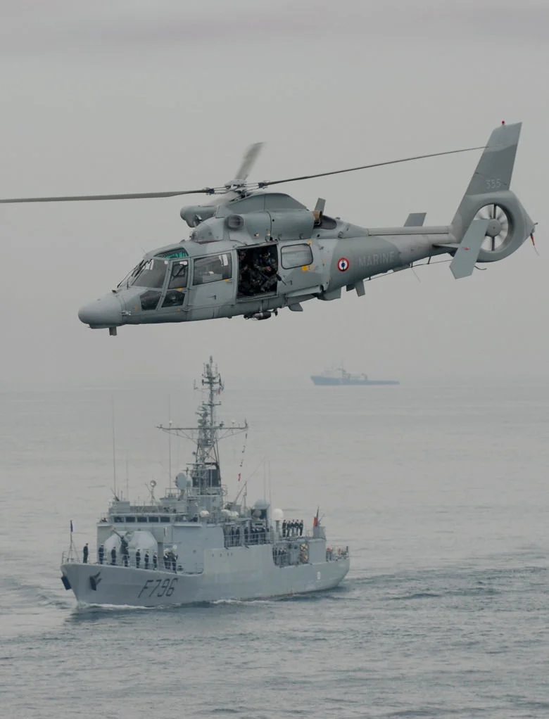 Revue Navale du 8 mai 2009