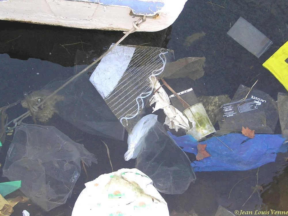 Détritus flottants dans la rade de Toulon