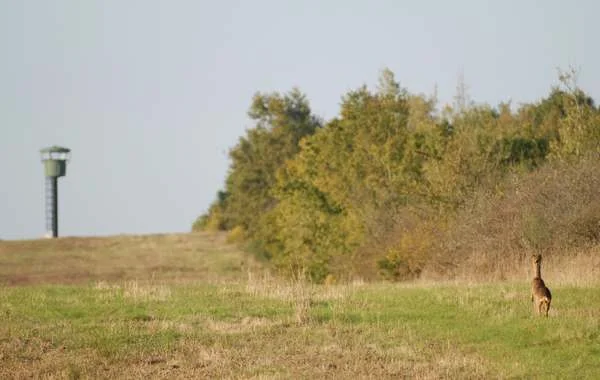 Le CTM Rosnay au cœur de la nature