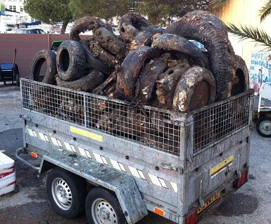 Plongée éco-responsable au Club Nautique de la Marine à Toulon