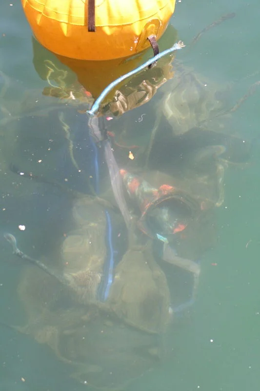 Les plongeurs remontent un objet trouvé au fond