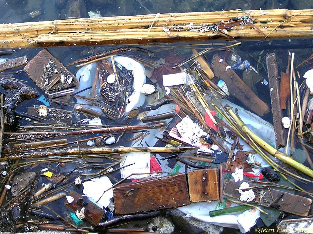 Détritus flottants dans la rade de Toulon