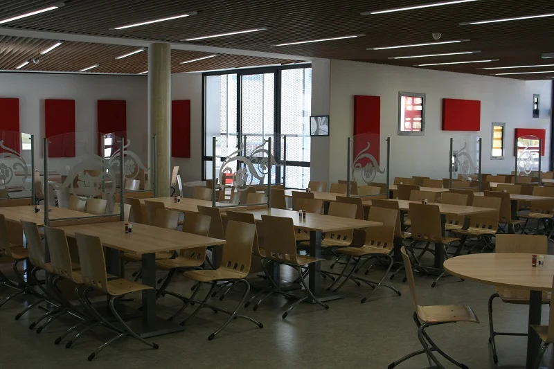 Un mobilier moderne et des panneaux de bois absorbant le bruit