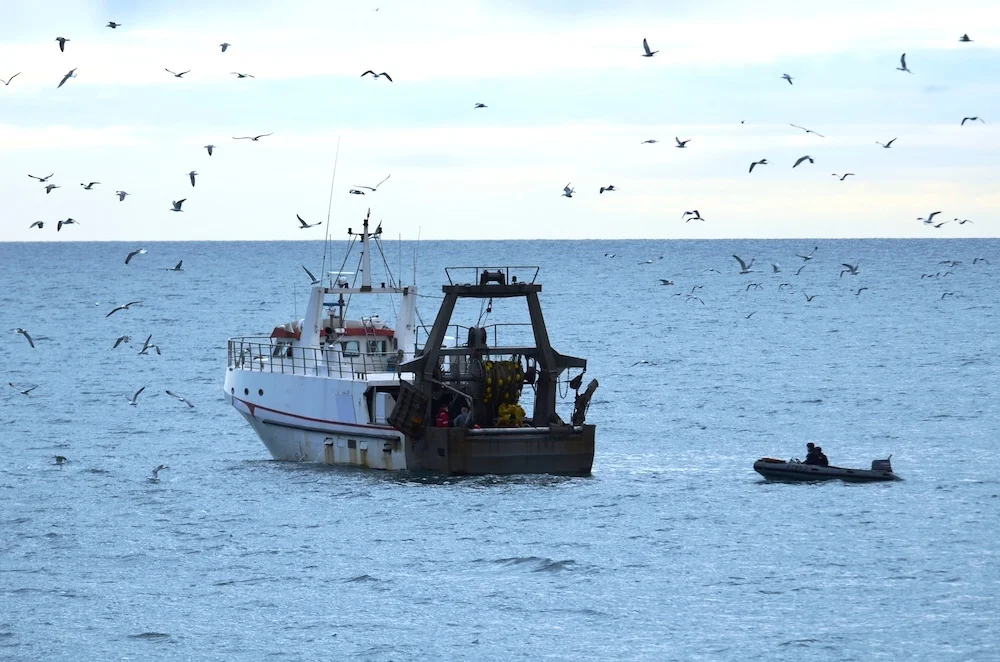 Contrôle d'un chalutier