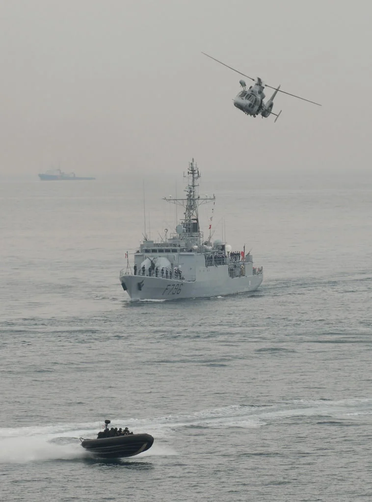 Revue Navale du 8 mai 2009