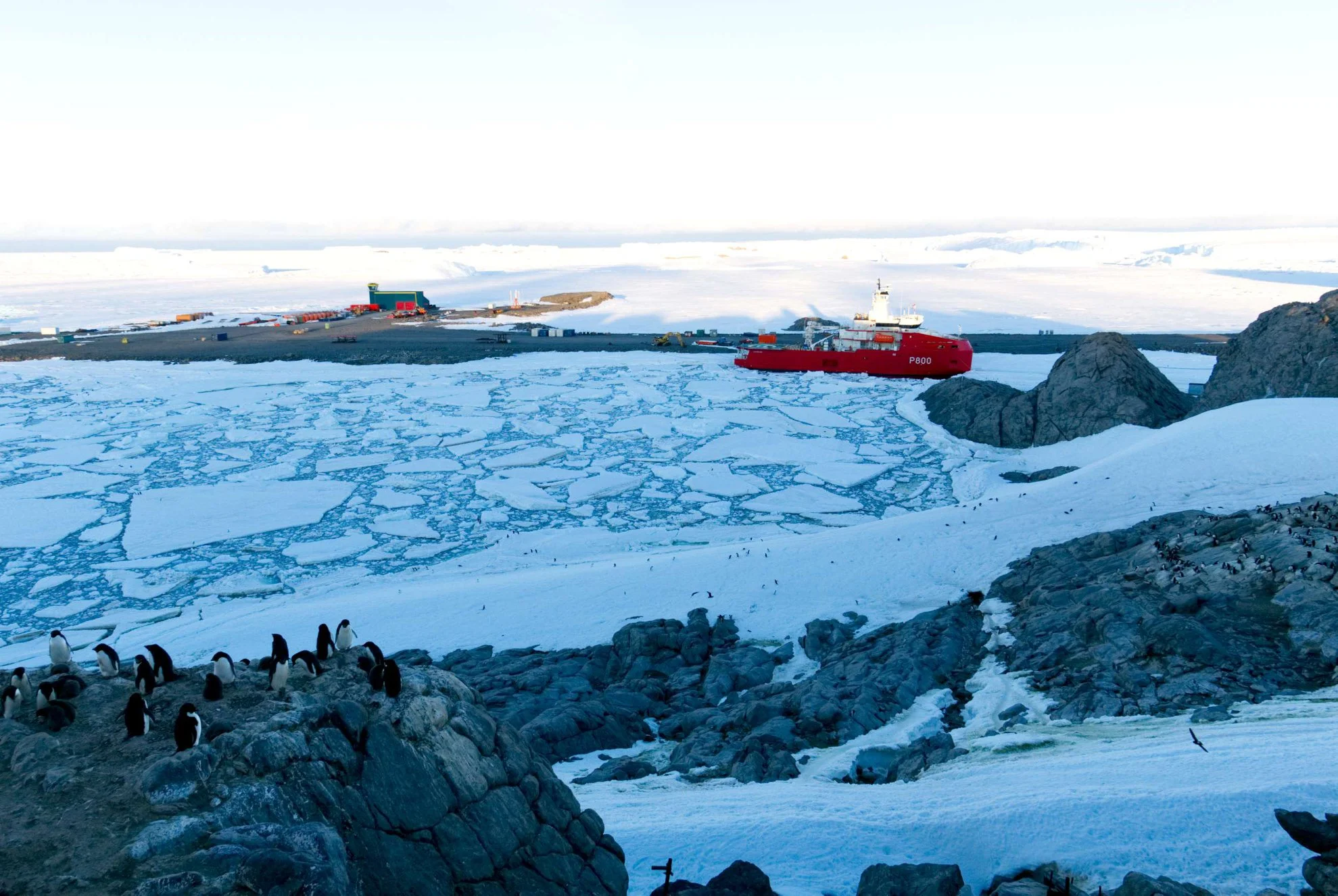 L’Astrolabe accoste pour la première fois à Dumont d’Urville, en Terre Adélie