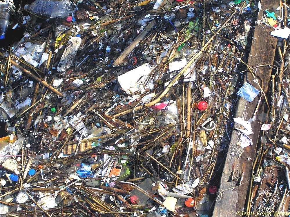 Détritus flottants dans la rade de Toulon