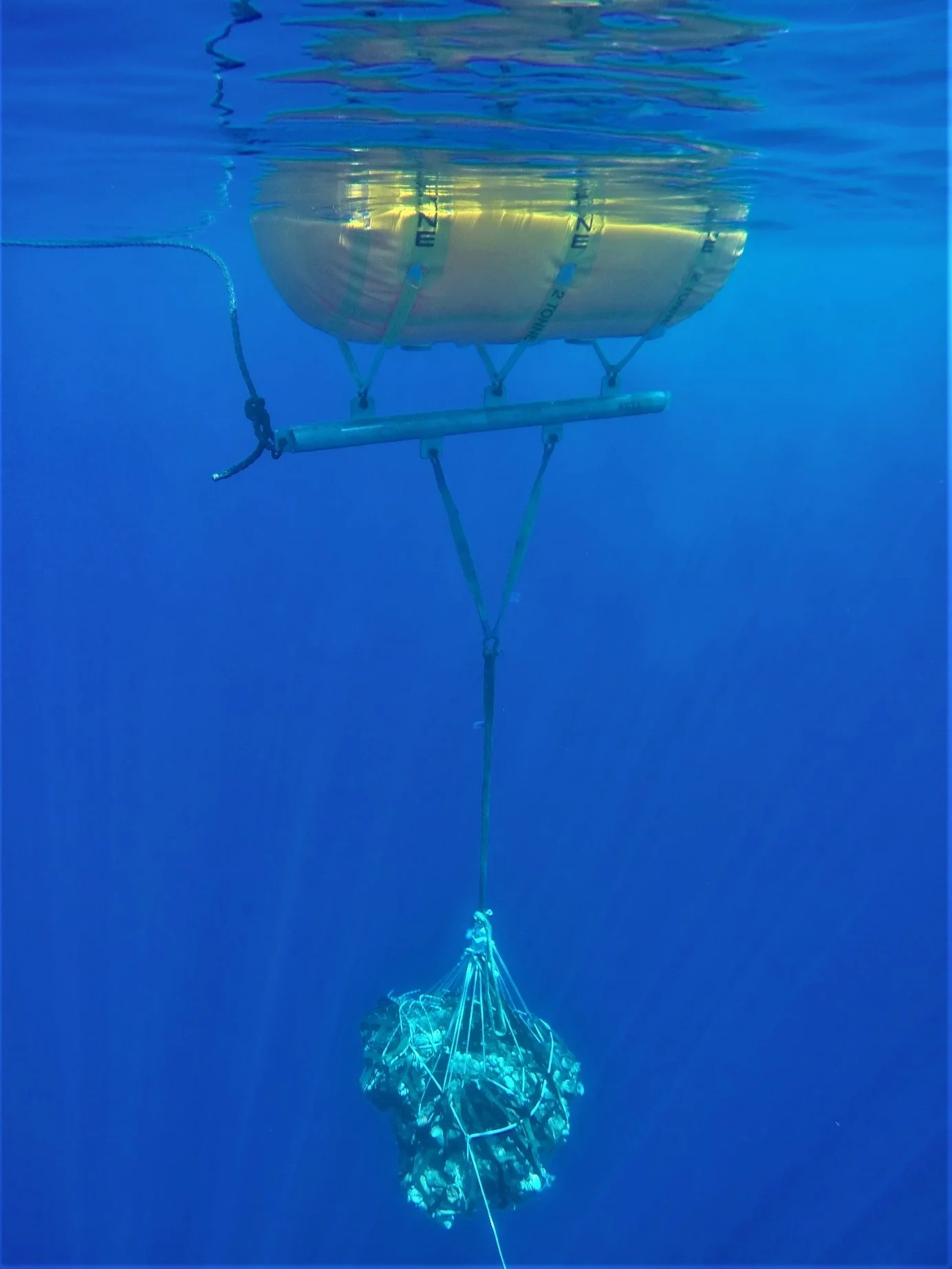 Les plongeurs-démineurs de Nouvelle Calédonie neutralisent une munition de la 2è Guerre Mondiale