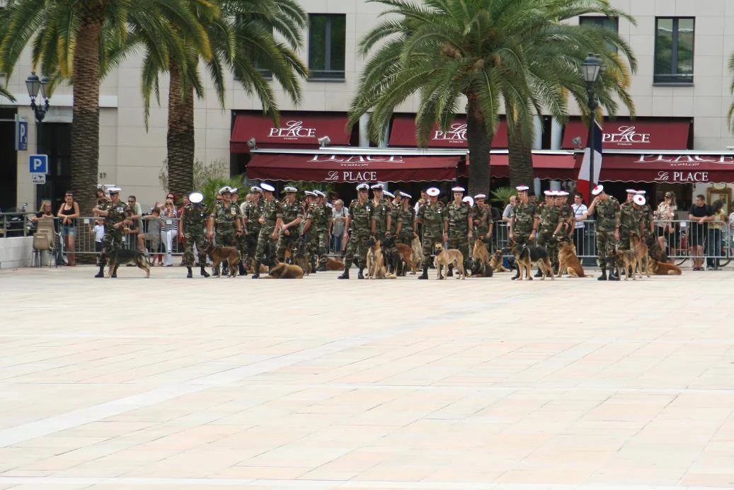 La brigade cynophile