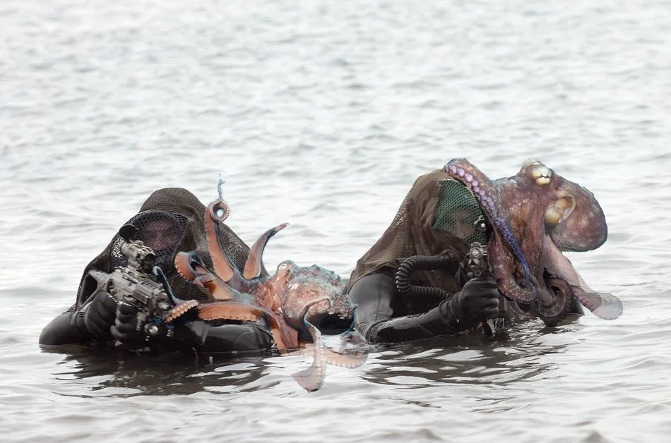 Des poulpes pour camoufler les commandos marine