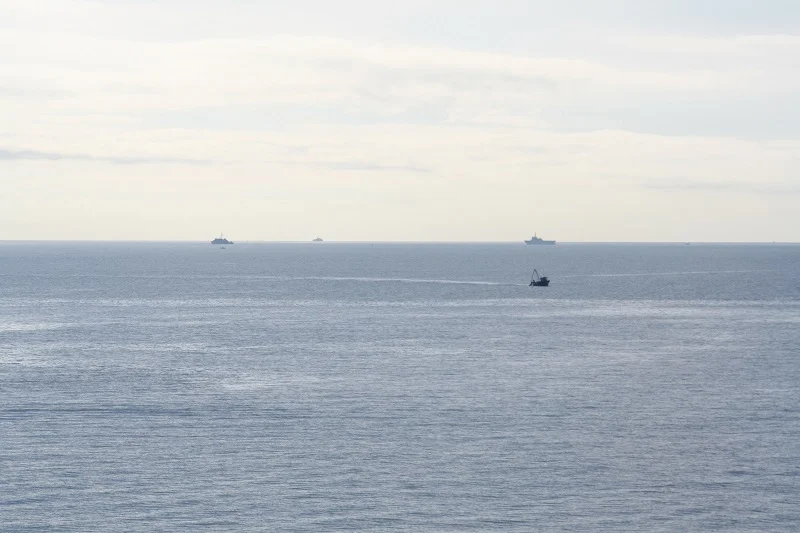 Une partie des participants à Olives Noires 2016