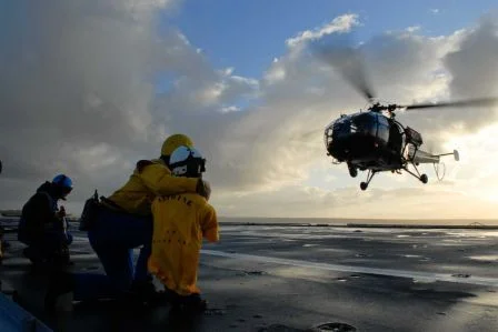 Le plus jeune chien jaune de tous les temps à bord de la Jeanne d’Arc