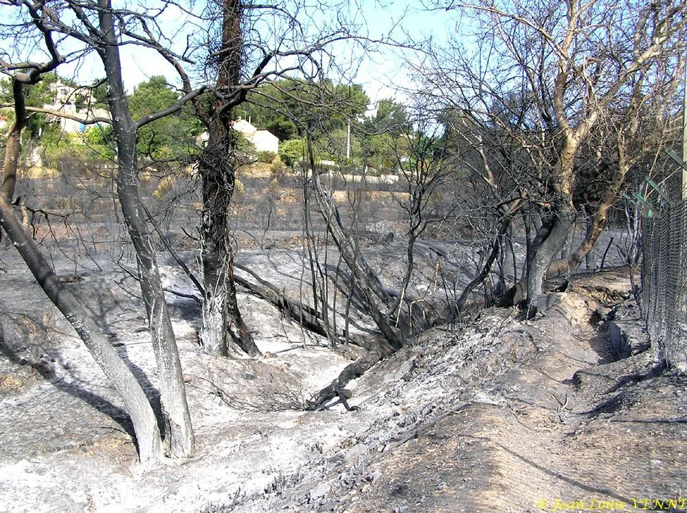 Les dégâts provoqués par l'incendie au CIN St Mandrier