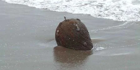 Une mine d'origine inconnue découverte sur les côtes de la mer Noire