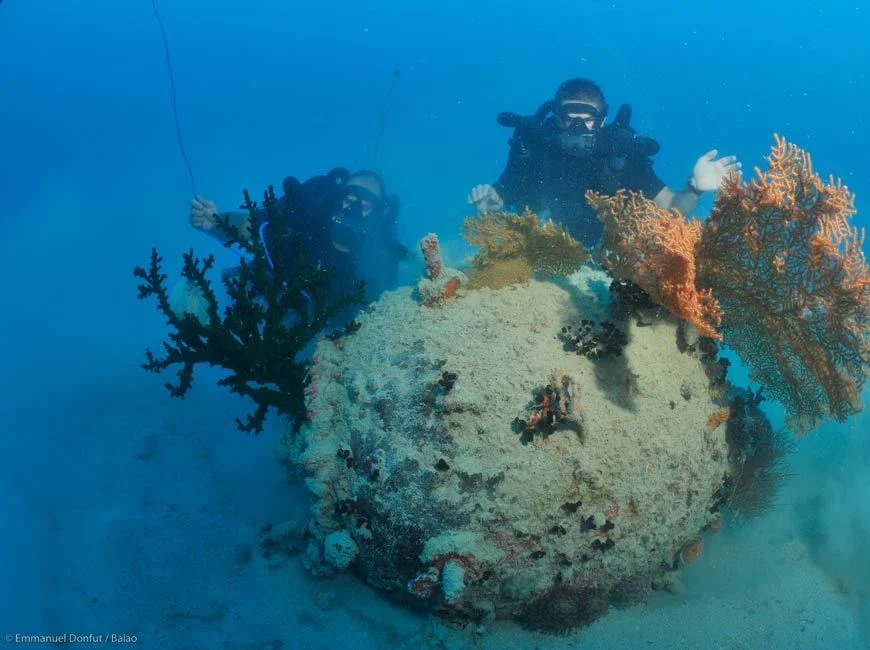 Plongeurs démineurs en action sur une mine marine