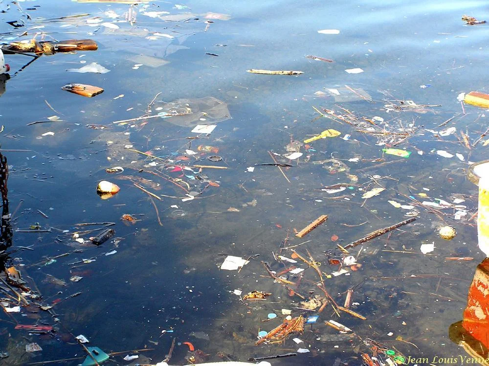 Détritus flottants dans la rade de Toulon