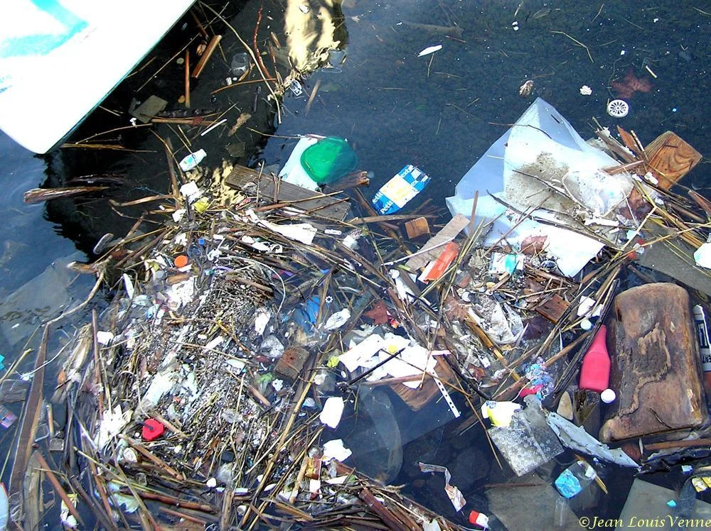 Détritus flottants dans la rade de Toulon
