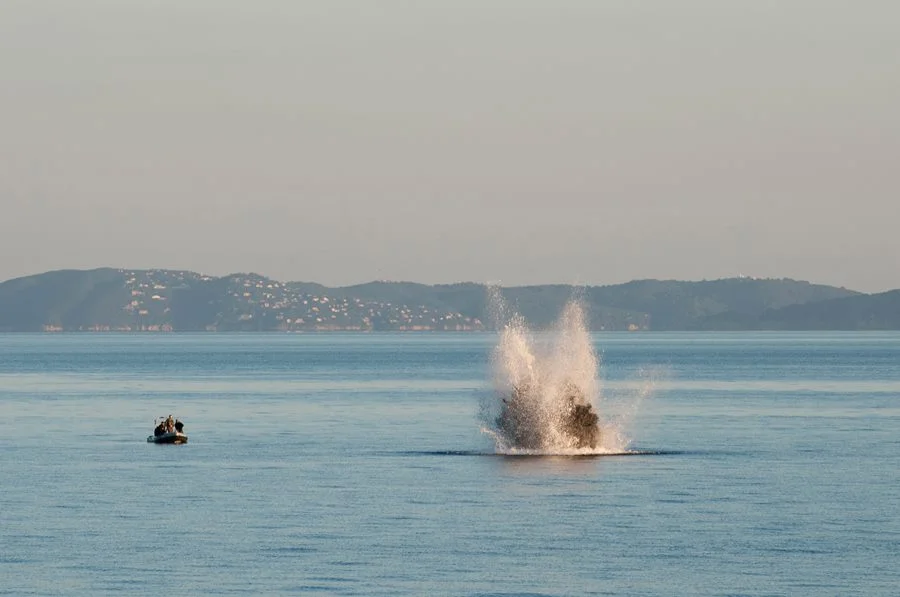 Destruction d'une mine à orin