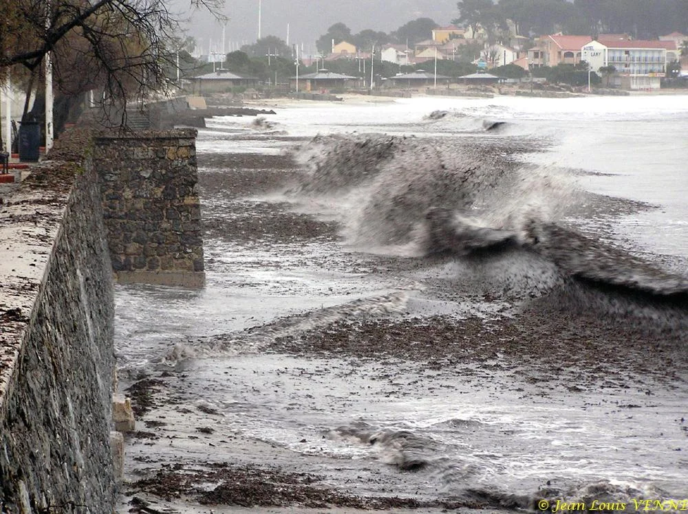Des posidonies mortes envahissent la Seyne-sur-Mer