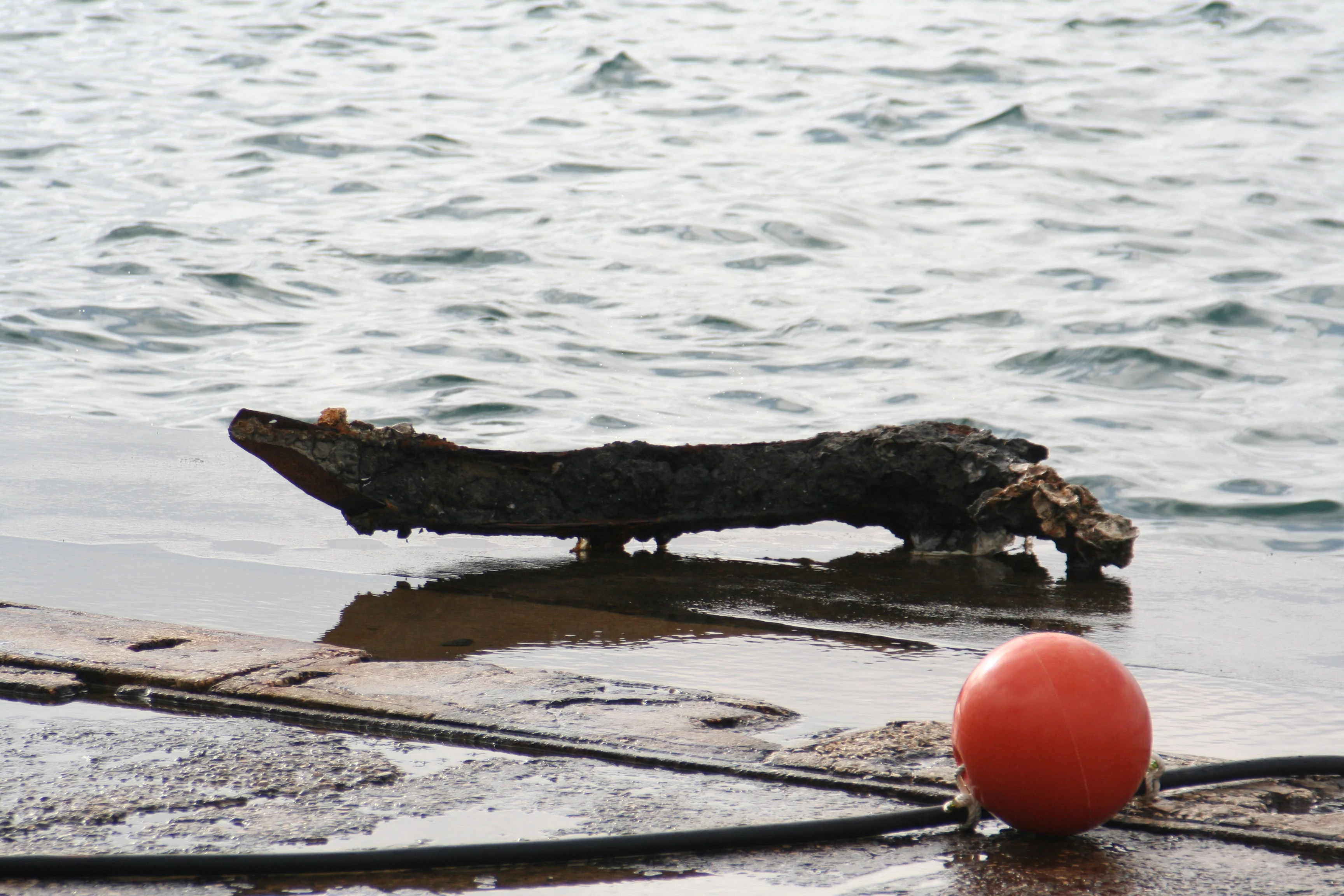 Un débris métallique remonté du fond