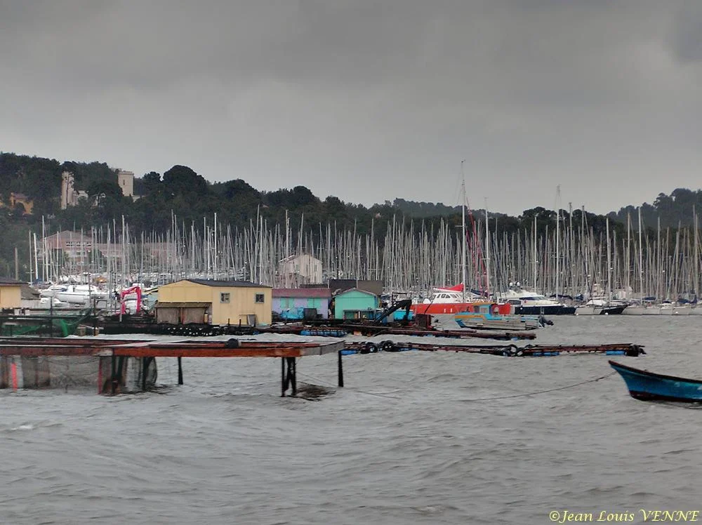 Dans la rade de Toulon