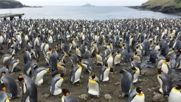 La frégate Floréal au large de l'île de Crozet