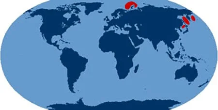 Zones de patrouille des SNLE russes en 80-90