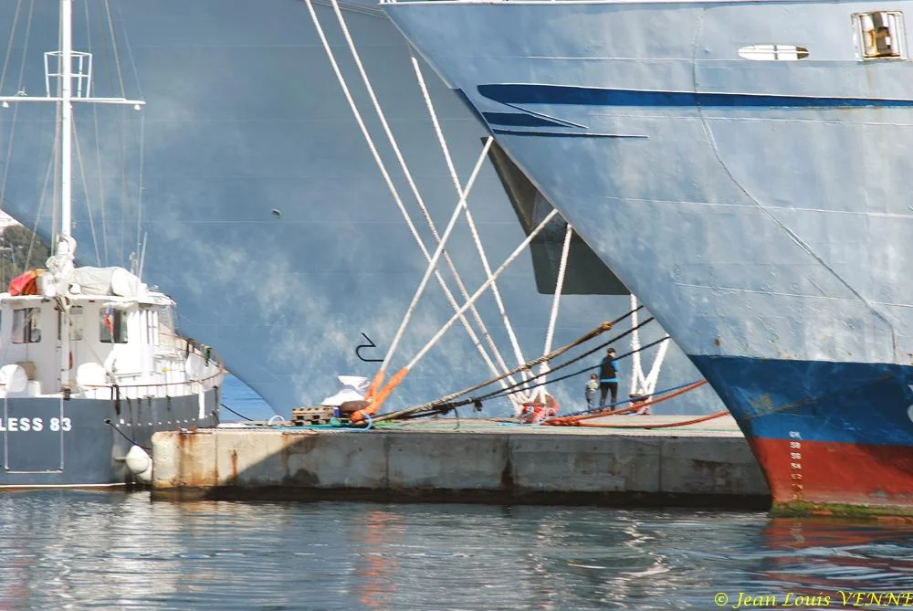 Escale surprise du MSC Fantasia à La Seyne sur Mer