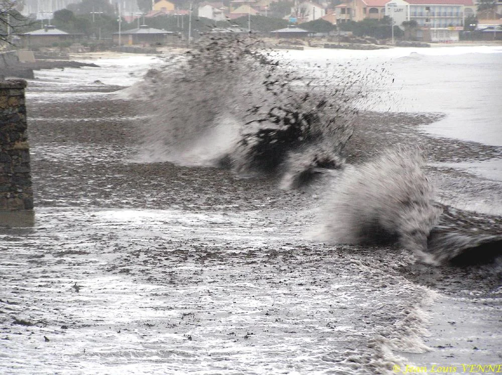 Des posidonies mortes envahissent la Seyne-sur-Mer
