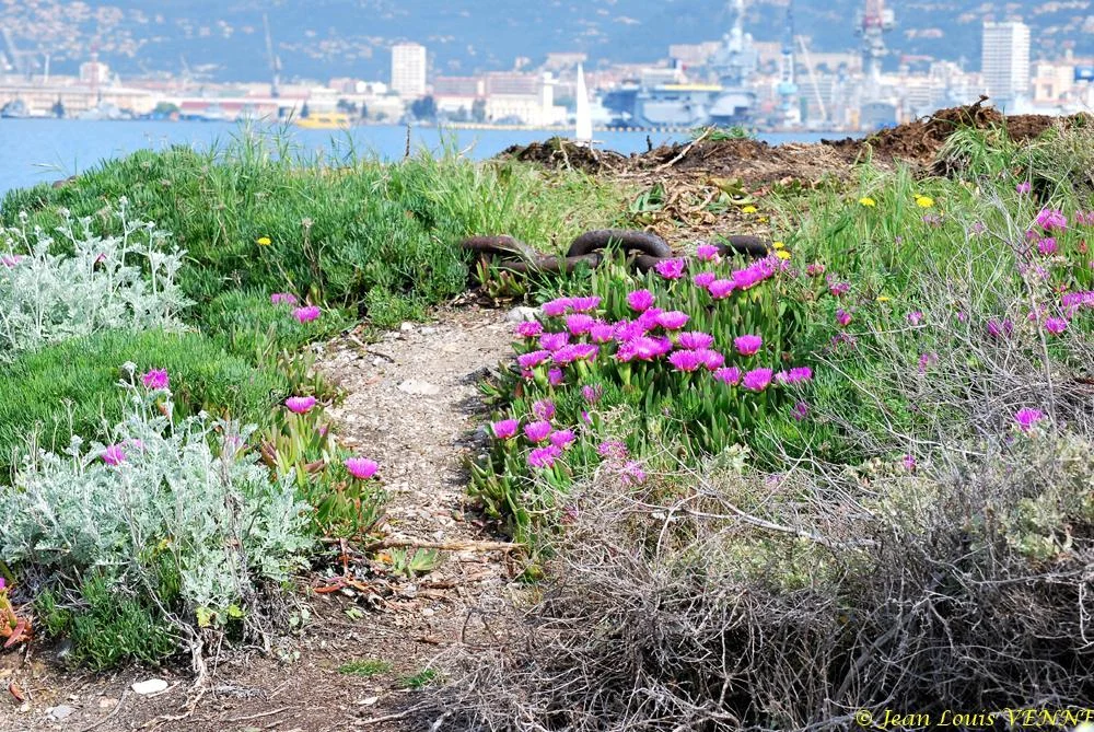 Promenade au parc de la Tour Royale