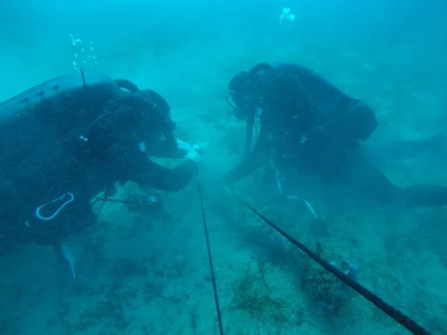 Des plongeurs-démineurs préparent le pétardement d'une mine