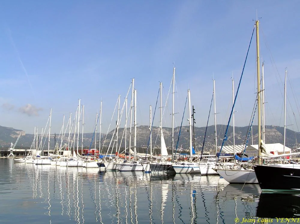 Coupe des Lyons 2008