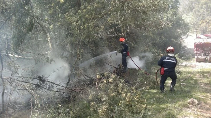 Les marins-pompiers sur l’île de La Réunion, sur un feu de lisière