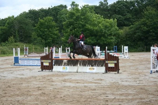 Challenge Marine d’équitation à l’Ecole navale