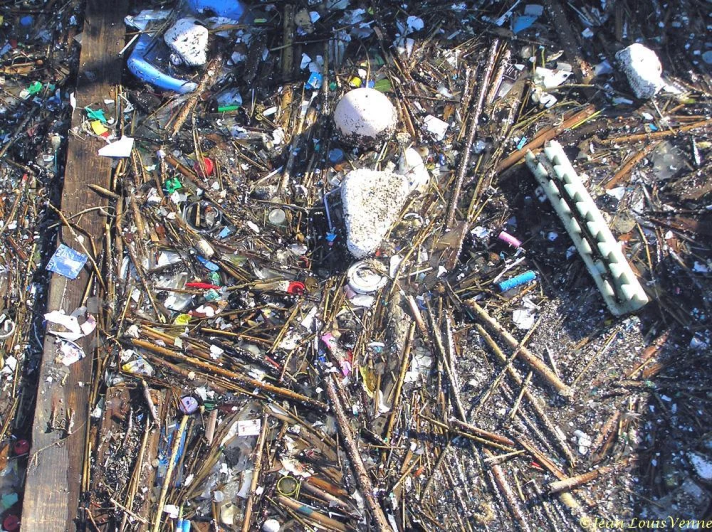 Détritus flottants dans la rade de Toulon